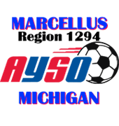 Region 1294